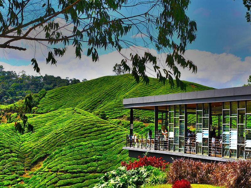 Apartment Naufa Muslim's At Emerald Avenue Brinchang